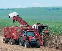Cosechadoras de Caña de Azucar Case IH. Cosechadoras Serie A - Image 1
