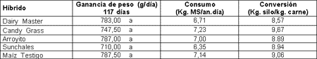 El silaje de Sorgo y Maíz permite intensificar la producción de carne bovina - Image 6