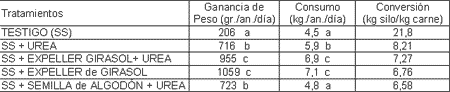 El silaje de Sorgo y Maíz permite intensificar la producción de carne bovina - Image 7
