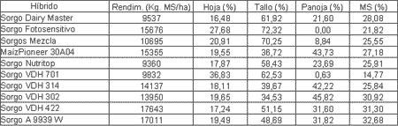 El silaje de Sorgo y Maíz permite intensificar la producción de carne bovina - Image 8
