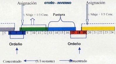 Los silajes como principal fuente de alimentación en el invierno - Image 3