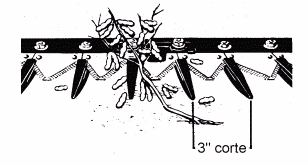 El Cultivo de Soja en Argentina - Image 3