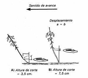 El Cultivo de Soja en Argentina - Image 5