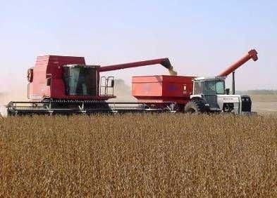 El Cultivo de Soja en Argentina - Image 7