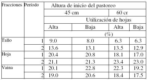 Soja para pastorear - Image 3