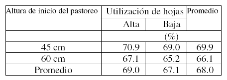 Soja para pastorear - Image 4