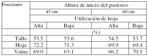 Soja para pastorear - Image 5