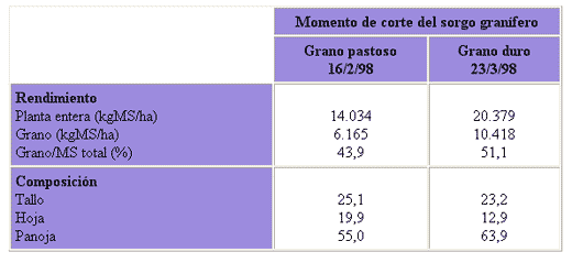 A la hora señalada - Cuál es el mejor momento para cortar el sorgo granífero destinado a silaje de planta entera? - Image 1