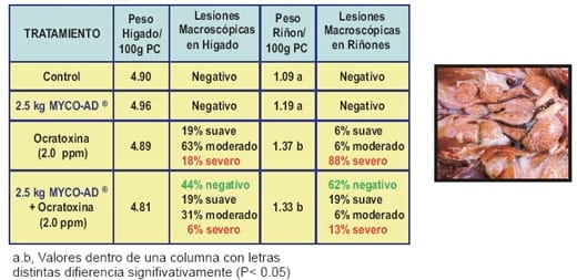 Organos susceptibles - Clave en la eficacia de un adsorbente de micotoxinas - Image 5