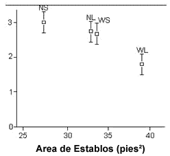 Dimensiones de establo correctas para sus vacas - Image 1