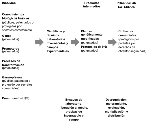 Transgénicos: difusión y concentración - Image 6