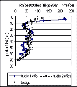 El trigo en la rotación: Crecimiento de Raíces en Suelos Compactados - Image 2