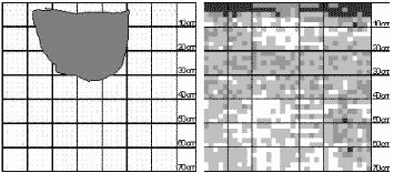 El trigo en la rotación: Crecimiento de Raíces en Suelos Compactados - Image 3
