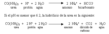 Reacción de los fertilizantes en el suelo. Volatilización de amoníaco a partir de la urea - Image 1
