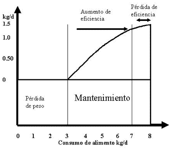 Eficiencia de utilización del alimento en vacunos - Image 1