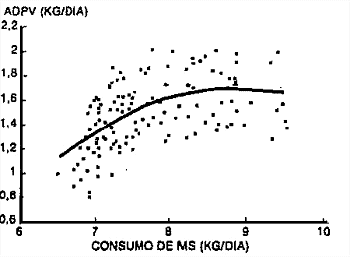 Eficiencia de utilización del alimento en vacunos - Image 2