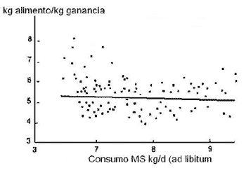 Eficiencia de utilización del alimento en vacunos - Image 3
