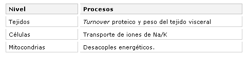 Eficiencia de utilización del alimento en vacunos - Image 4