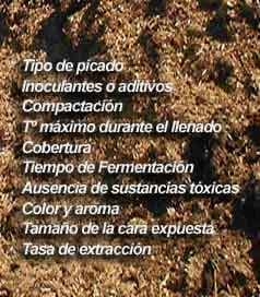 Claves para la correcta utilización del silo - Image 4