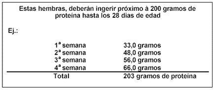 Manejo de Reproductoras de Alto Rendimiento vs. Reproductoras Clásicas - Image 11