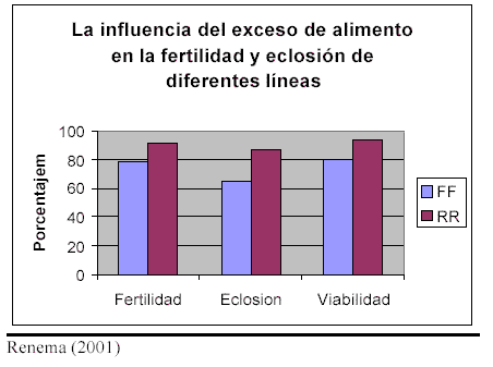 Manejo de Reproductoras de Alto Rendimiento vs. Reproductoras Clásicas - Image 12