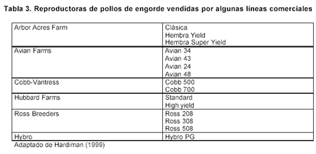 Manejo de Reproductoras de Alto Rendimiento vs. Reproductoras Clásicas - Image 3