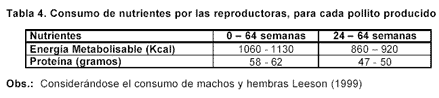 Manejo de Reproductoras de Alto Rendimiento vs. Reproductoras Clásicas - Image 4