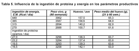 Manejo de Reproductoras de Alto Rendimiento vs. Reproductoras Clásicas - Image 5
