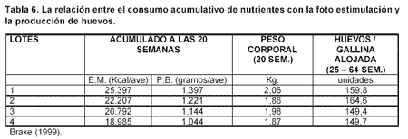 Manejo de Reproductoras de Alto Rendimiento vs. Reproductoras Clásicas - Image 6