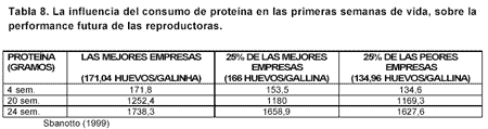 Manejo de Reproductoras de Alto Rendimiento vs. Reproductoras Clásicas - Image 8