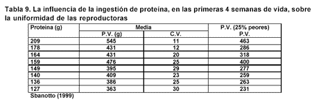 Manejo de Reproductoras de Alto Rendimiento vs. Reproductoras Clásicas - Image 9