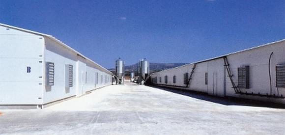 España - Granja de broilers que consume 100% energía verde - Image 2