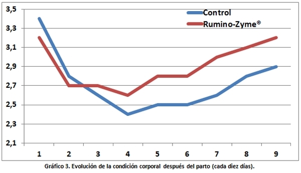Respuesta productiva y sanitaria con Rumino-Zyme® en dietas de vacas de segunda y tercera lactancia - Image 3