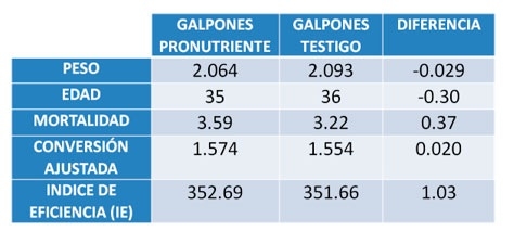 Efecto los pronutrientes sobre los parámetros productivos y mortalidad en broilers - Image 2
