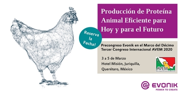 México - Pre-congreso Evonik en AVEM 2020 - Image 1