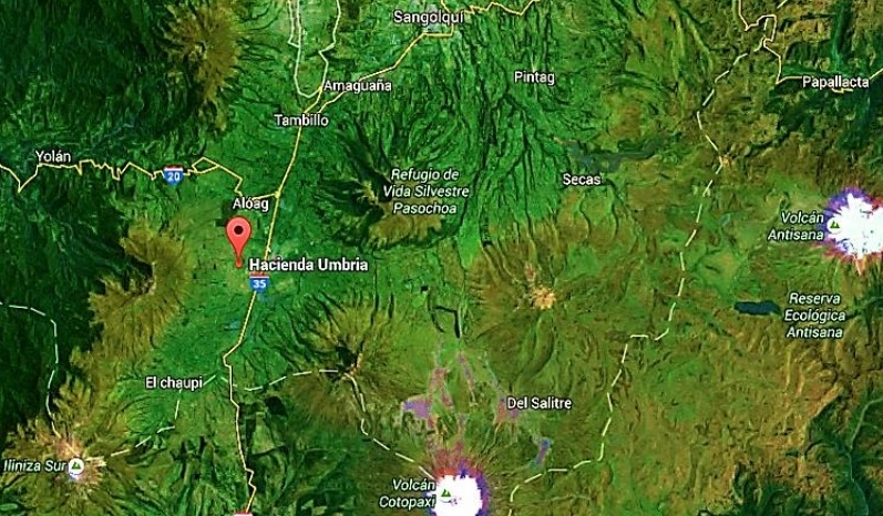 Ecuador - Efecto de secuestrante de micotoxinas en la calidad de leche - Image 2
