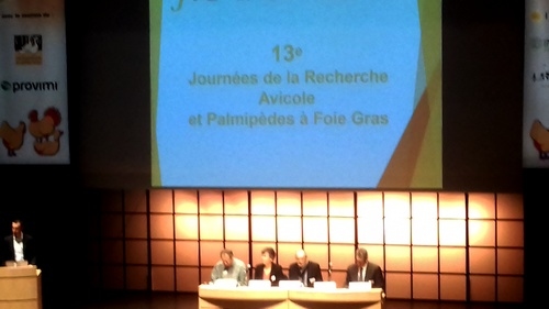 Enzimas en ponedoras y cambio en el horario de alimentación - Image 3