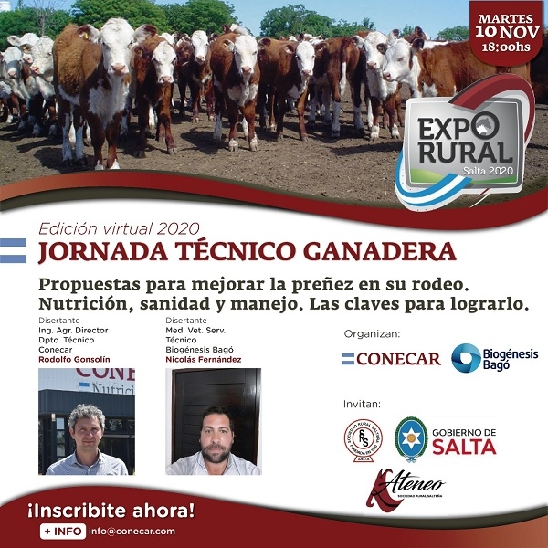 Propuestas para mejorar la preñez en su rodeo. Nutrición, sanidad y manejo. Las claves para lograrlo - Image 1