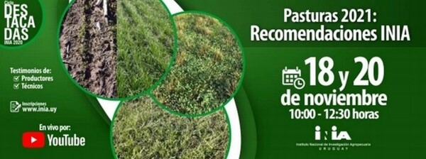 Pasturas 2021: Recomendaciones INIA - Image 1