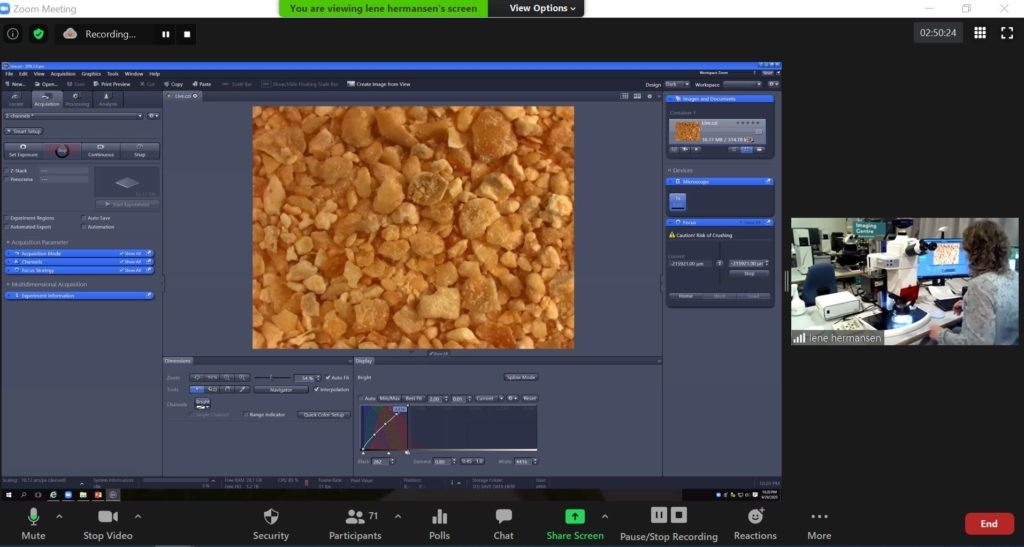 EE.UU. - La microscopía ayuda a las fábricas de piensos con el control de calidad - Image 1