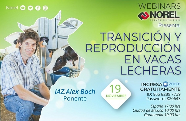 Transición y reproducción en vacas lecheras - Image 1