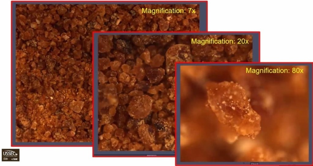EE.UU. - La microscopía ayuda a las fábricas de piensos con el control de calidad - Image 2