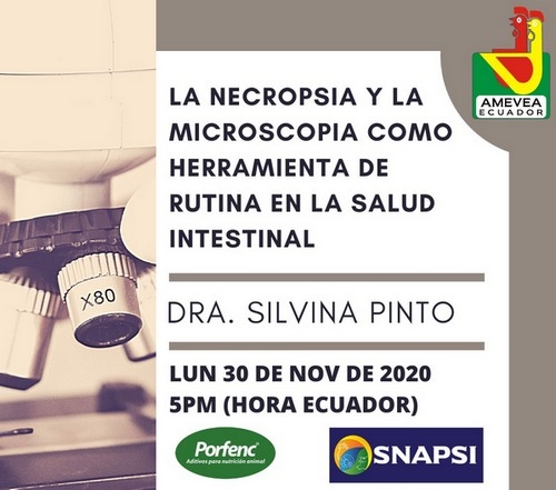 Ecuador - Salud intestinal: La necropsia y la microscopia. Webinar de AMEVEA - Image 1
