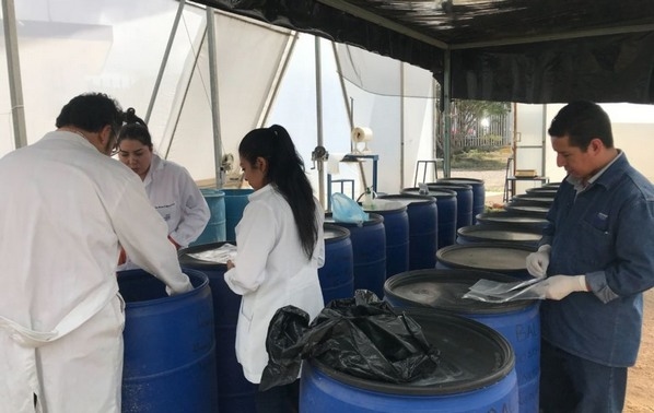 México - Desarrollan inoculante biológico para evitar micotoxinas en forrajes - Image 1