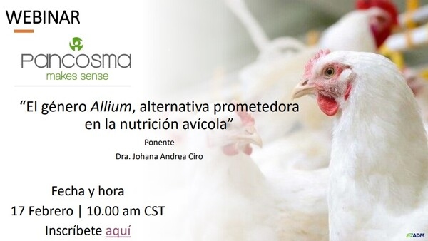 El género Allium, alternativa prometedora en la nutrición avícola - Image 1