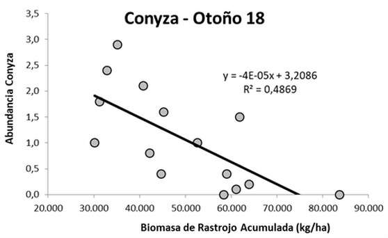 Argentina - ¿Cómo impactan las rotaciones en las poblaciones de malezas? - Image 1