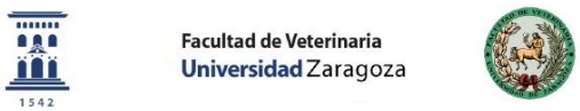 España - Ácidos orgánicos para el control de colibacilosis en cerdos - Image 1