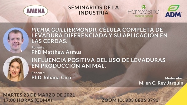 Seminario en Amena - Levaduras - Image 1