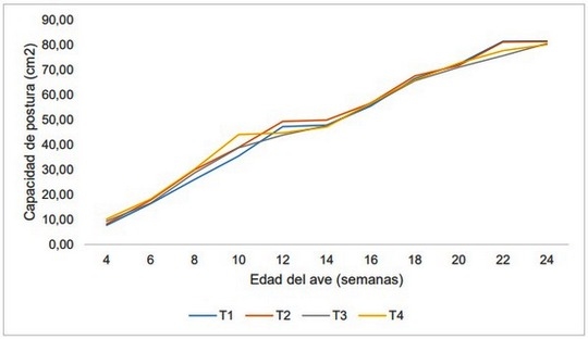 Evaluación de dos sistemas de levante hasta inicio de la etapa de pre postura en gallina de postura comercial Lohmann Brown-Classic bajo dos dietas nutricionales - Image 1