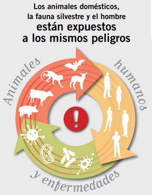 OIE: «One Health, Una sola salud» - Image 1
